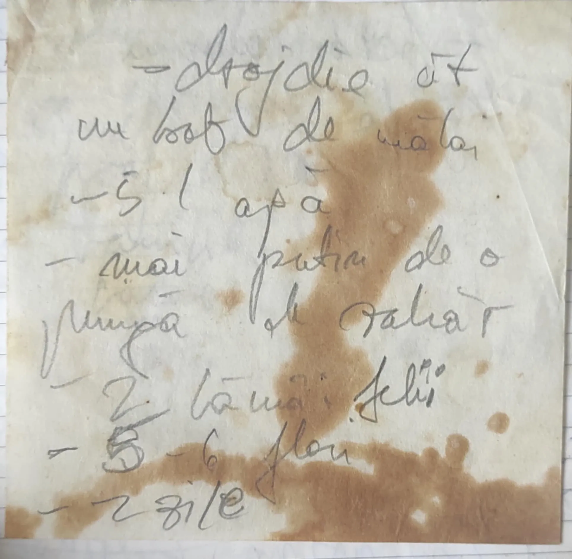 Rețetă de Socată notată de la Ica (din Runcu Salvei) în jurul anului 2000