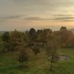 Calinesti
